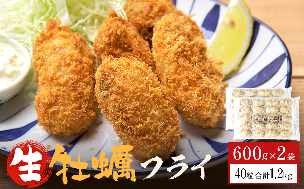 三陸産カキフライ600g（20粒入）×2パックセット 冷凍 牡蠣 