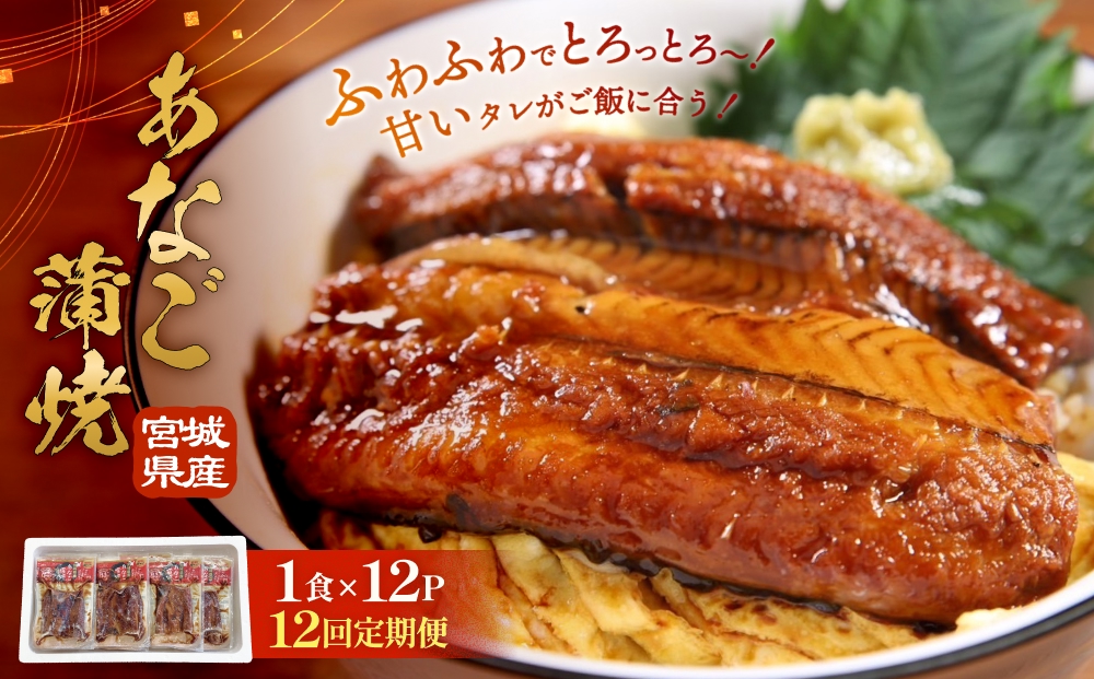 宮城県産あなご蒲焼（1食）12入 12回定期便 冷凍 小分け 穴