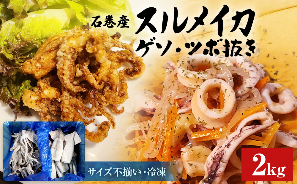 石巻市産スルメイカ2kg 冷凍 国産 スルメイカゲソ1kg  スルメ