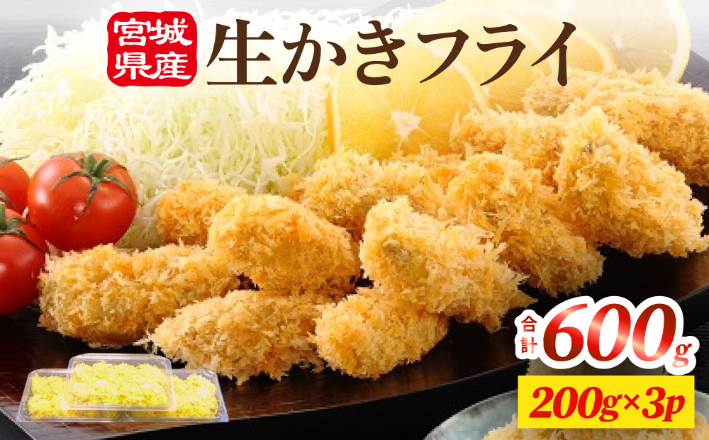 期間限定　生かきフライ3パックセット 冷蔵 牡蠣 カキ カキ