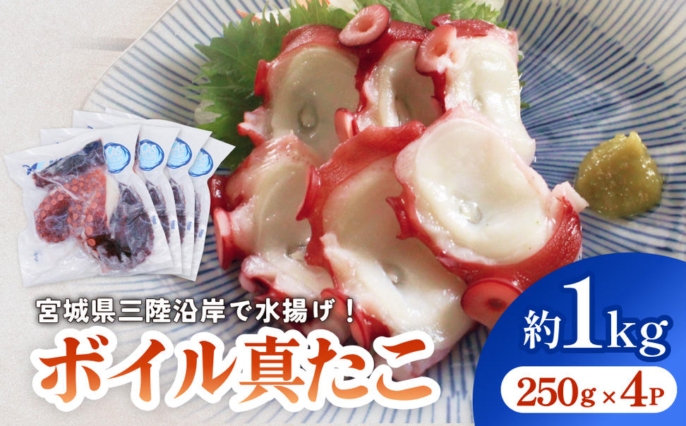 真たこ ボイル  約1kg 蛸 たこ タコ ボイル済み 冷凍 小分け C