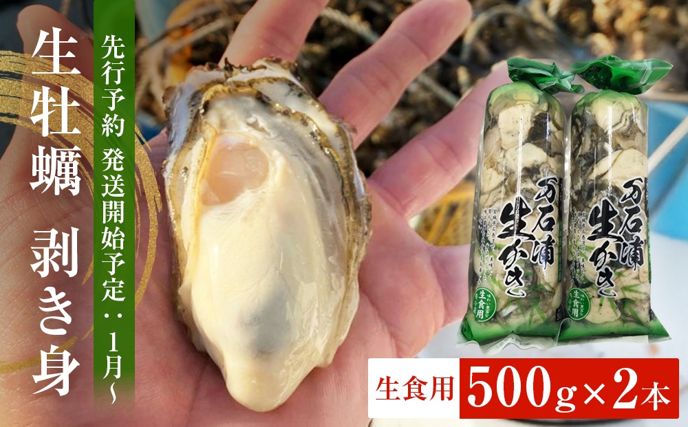 【先行予約】生牡蠣 牡蠣 生食用 かき剥き身 500g 2本入 水無