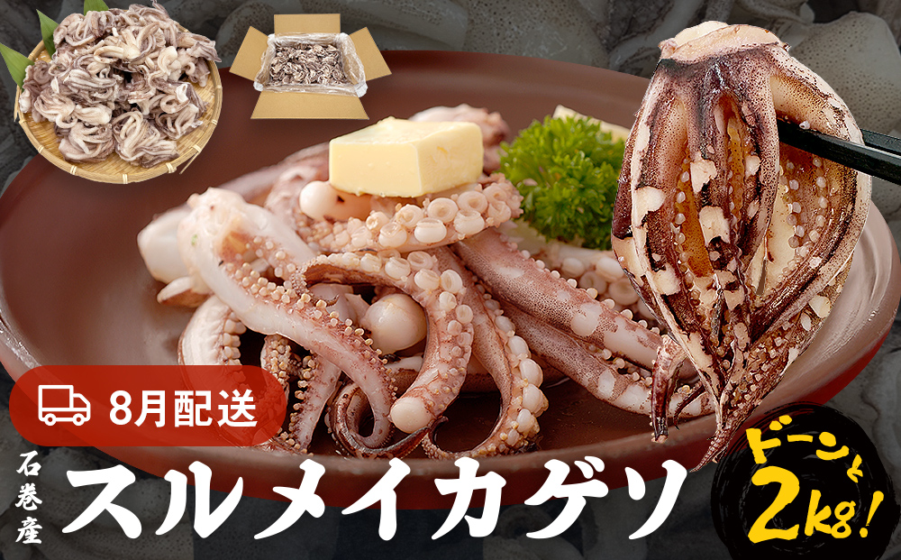 訳あり 石巻産スルメイカゲソ 2kg 8月配送 冷凍 国産 いか 下