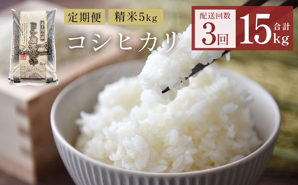 【定期便3回】令和7年産 コシヒカリ 精米 15kg (5kg×3) こめ コ