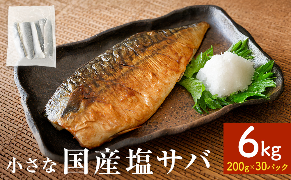 小さな 国産 塩サバ 6kg  ( 200g × 30パック ) 冷凍 サバ 鯖 魚 