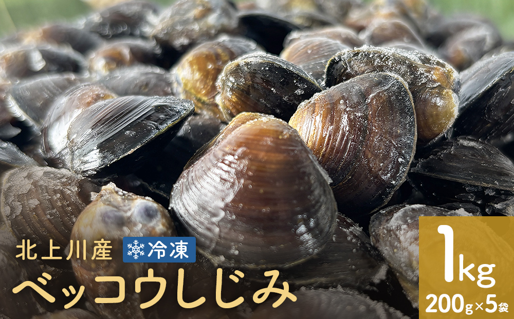北上川産 冷凍 ベッコウしじみ 1kg ( 200g × 5袋 ) しじみ 海鮮 