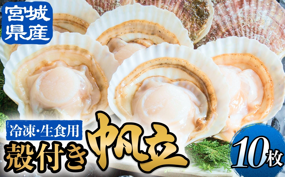 【冷凍・生食用】 殻付き帆立 10枚 帆立 ホタテ ほたて 殻付