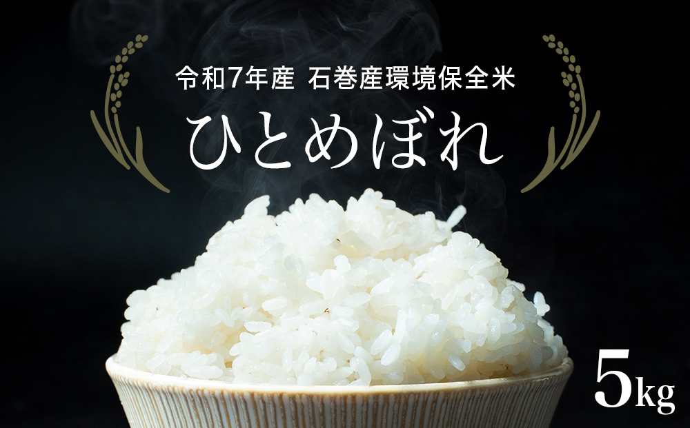 R7年産 ひとめぼれ ５kg 米 お米 ご飯 ヒトメボレ 石巻市