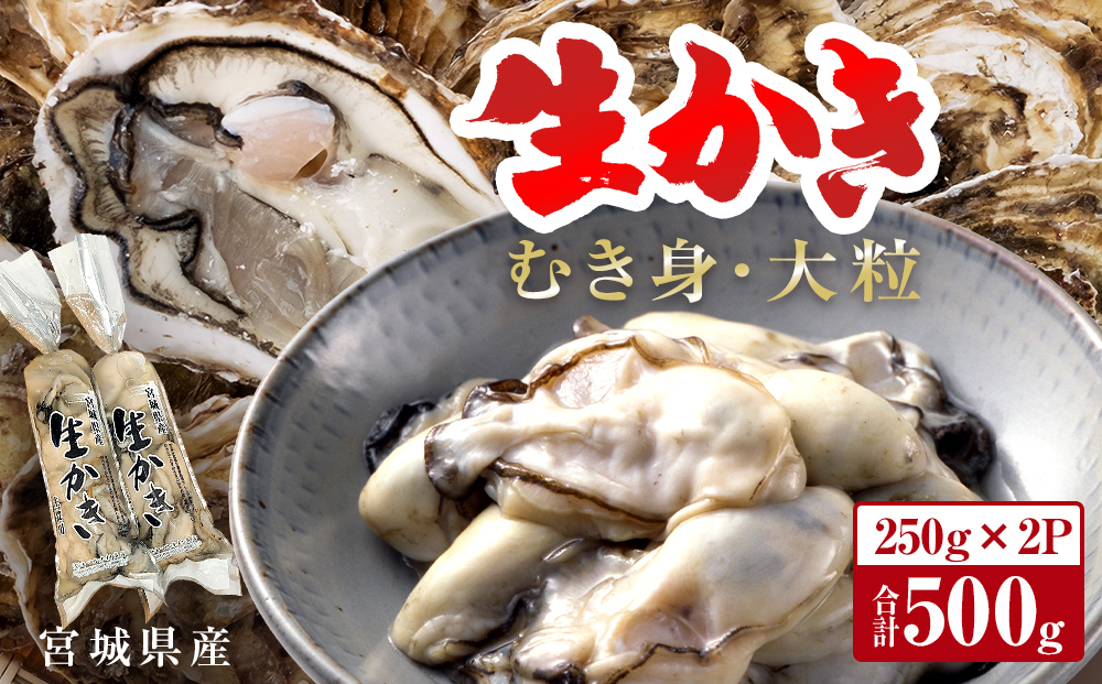 牡蠣 宮城県産 生かき むき身 大粒 生牡蠣 生食 加熱 カキ 