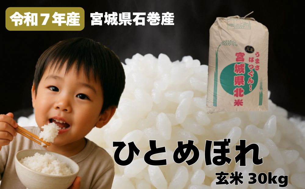 米 ひとめぼれ 玄米 30kg 令和7年産 ヒトメボレ お米 ごはん 