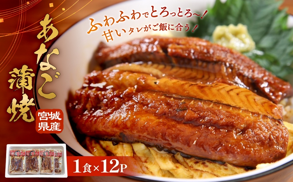 宮城県産あなご蒲焼（1食）12入 冷凍 小分け 穴子 アナゴ 蒲