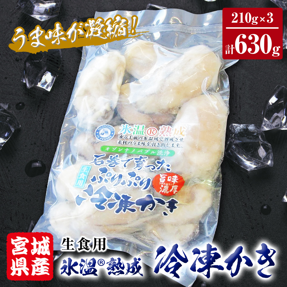 宮城県産 牡蠣 氷温熟成かき 生食用(冷凍) 630g (210g×3パック)