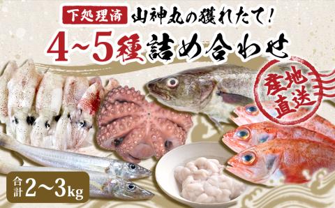 宮城県産 漁師直送! 鮮魚詰め合わせ 小 2~3kg(4~5種)