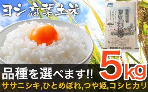 令和5年産 ヨシ腐葉土米 特別栽培米 ササニシキ(精米5kg)