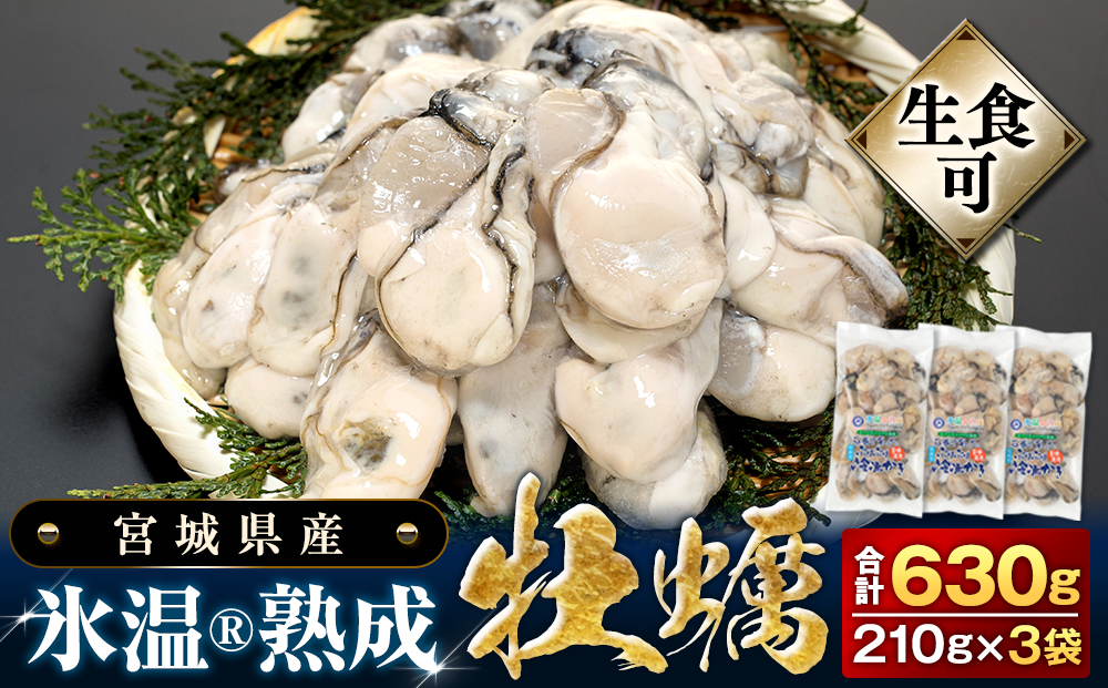 牡蠣 [生食用] 氷温熟成 冷凍牡蠣 生食用 210g×3袋 (630g) 宮城県産氷温熟成 冷凍牡蠣 生食用 宮城県産 | 生で食べられる 牡蠣 小分け 冷凍かき 冷凍カキ 冷凍牡蠣 かきむき身 カキむき身 牡蠣むき身 生かき 生カキ 生牡蠣 冷凍かき 冷凍カキ 冷凍牡蠣 かきむき身