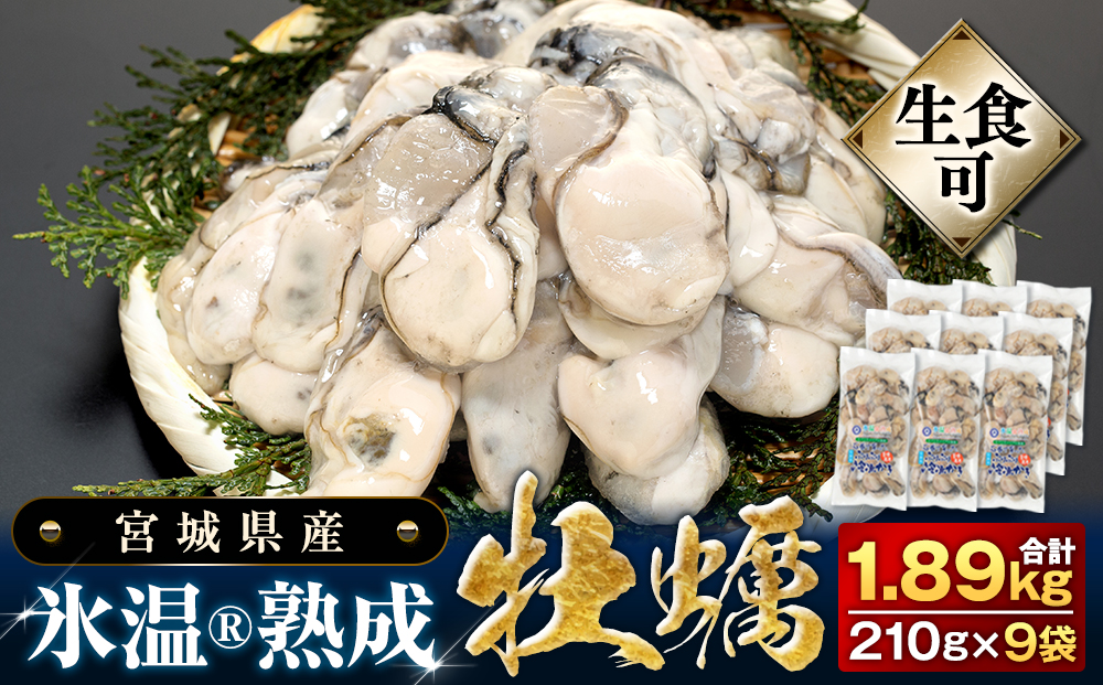 牡蠣 [生食用]氷温熟成 冷凍牡蠣 生食用 210g×9袋 (約1.8kg) 宮城県産 小分け 氷温熟成 冷凍牡蠣 生食用 宮城県産 | 生で食べられる 牡蠣 小分け 冷凍かき 冷凍カキ 冷凍牡蠣 かきむき身 カキむき身 牡蠣むき身 生かき 生カキ 生牡蠣 冷凍かき 冷凍カキ 冷凍牡蠣