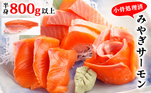 宮城県 みやぎ サーモン（小骨処理済）半身 800g以上 冷凍