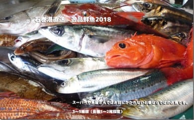 石巻港直送 逸品鮮魚