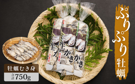 牡蠣 宮城県産 ぷりぷり 生牡蠣 むき身 750g 生食用 カキ 冷