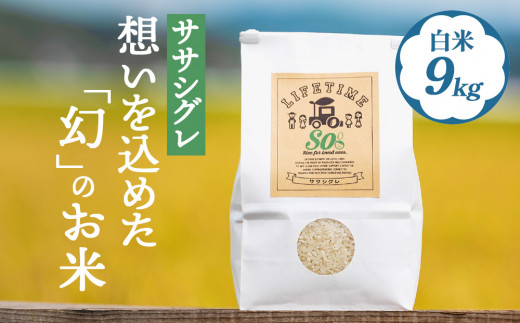 米 ササシグレ 白米 9kg 農薬不使用 化学肥料不使用 ささし