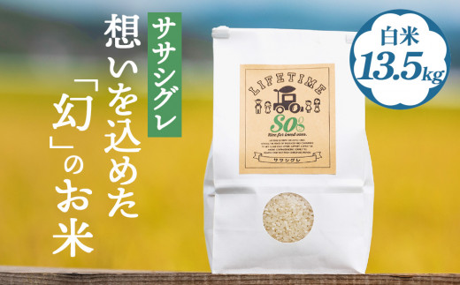 米 ササシグレ 白米 13.5kg 農薬不使用 化学肥料不使用 ささ