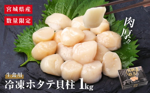 【先行予約】ホタテ貝柱 1kg ＜数量限定＞ 宮城県産 ほたて