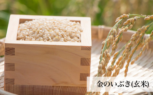金のいぶき（玄米・粥）セット ヨシ腐葉土 宮城県 石巻市