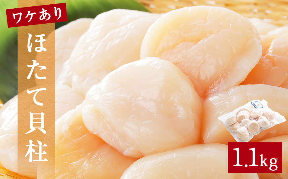 【先行予約】ほたて ＜訳あり＞ 貝柱 1.1kg 加熱用 帆立 ホタ