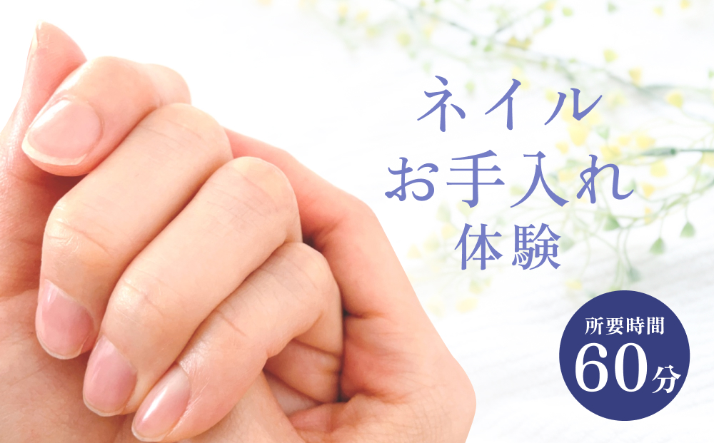 ネイル 基本 お手入れ ケア 体験 チケット ネイルサロン ネ
