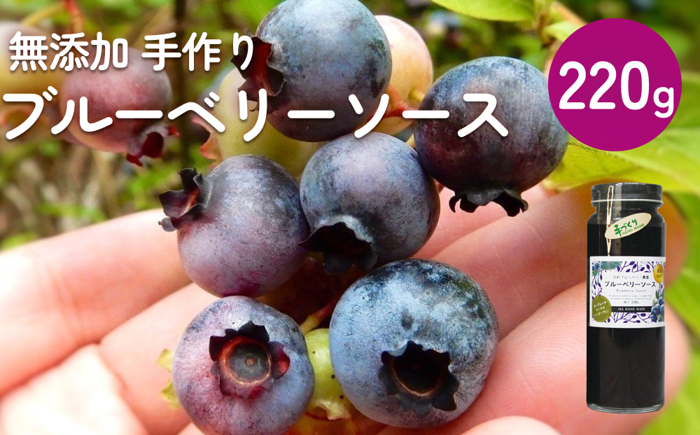 ＜ 先行予約 ＞?ブルーベリーソース 220g 無添加 手作り フ