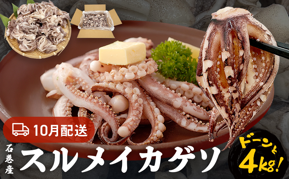 訳あり 石巻産スルメイカゲソ 4kg 10月配送 冷凍 国産 いか