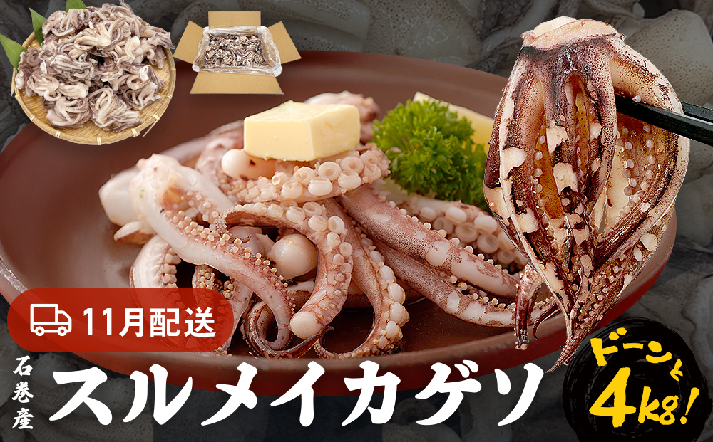訳あり 石巻産スルメイカゲソ 4kg 11月配送 冷凍 国産 いか