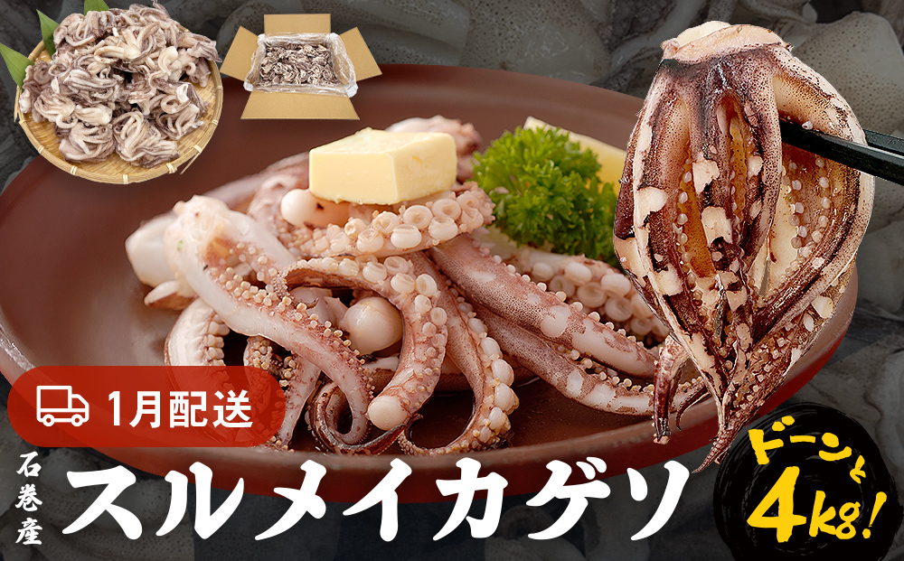 訳あり 石巻産スルメイカゲソ 4kg 1月配送 冷凍 国産 いか 下
