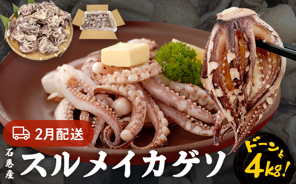 訳あり 石巻産スルメイカゲソ 4kg 2月配送 冷凍 国産 いか 下