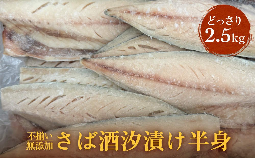 不揃い 訳あり 無添加さば酒汐漬け半身（ どっさり 2.5kg ）