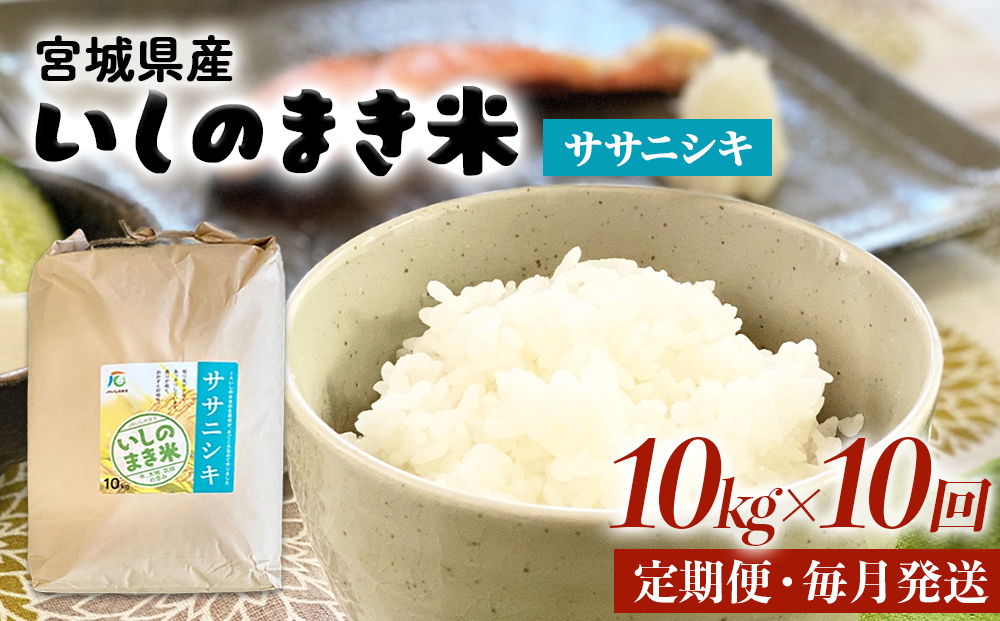 令和６年産 米 ササニシキ 定期便 10kg × 10回 お米 精米 白米