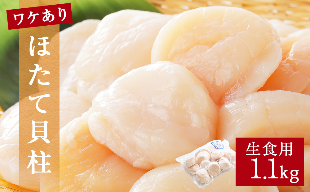 【 ワケあり 】生食用 ほたて 貝柱 1.1kg 帆立 ホタテ 訳あり