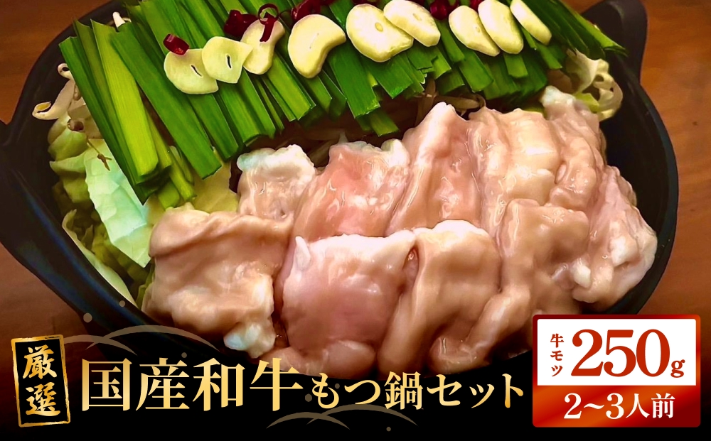 もつ鍋セット（2-3人前）国産 国産牛 牛もつ鍋 もつ鍋 鍋 牛