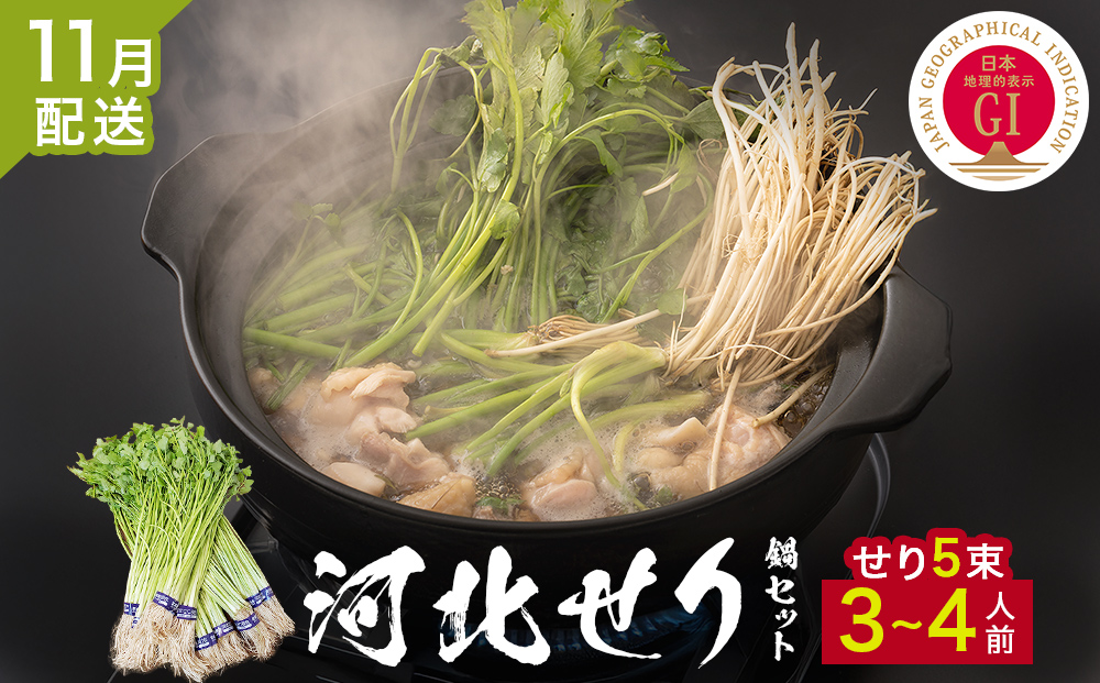 ＜11月配送＞ せり鍋セット せり5束 3-4人前 河北せり 鍋 せ