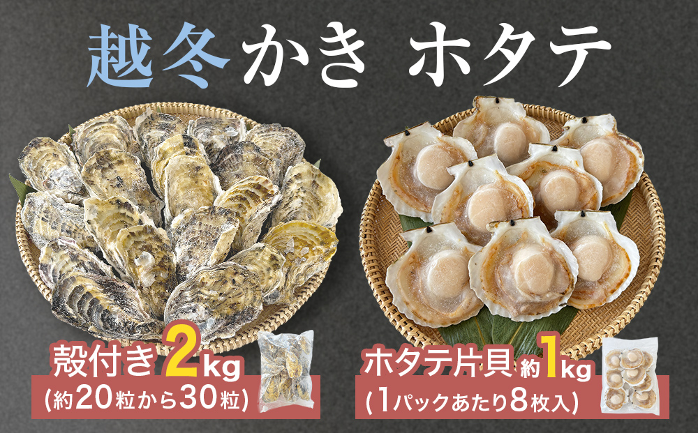 ホタテ片貝 越冬殻付かき 贅沢セット 加熱用 牡蠣 かき カ