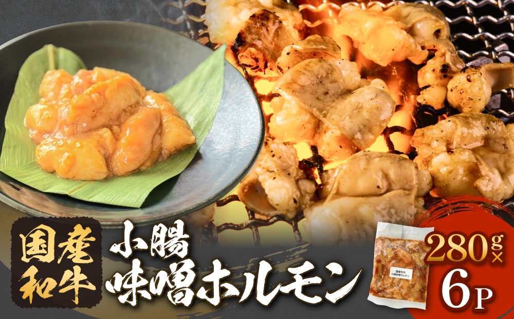 国産和牛 味噌 ホルモン 6P 味噌ホルモン 牛ホルモン 小腸