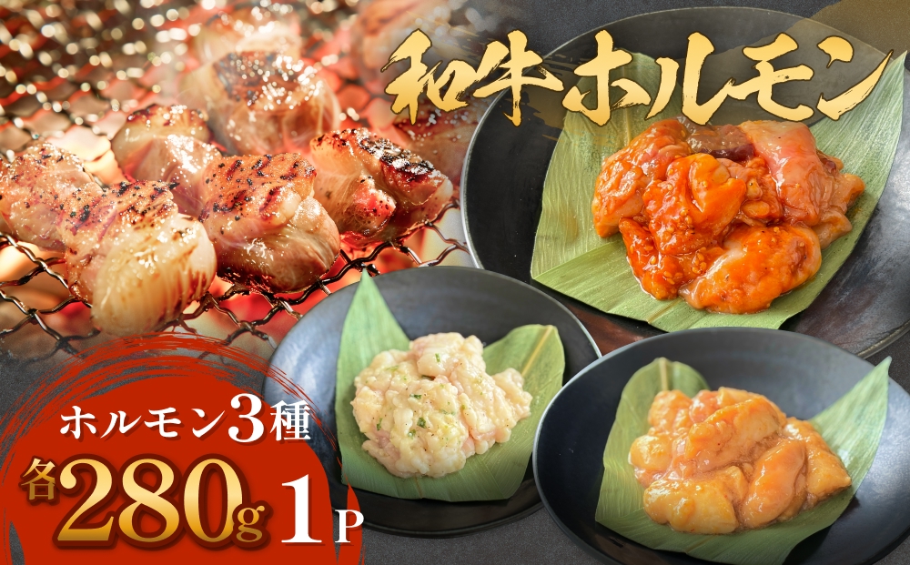 和牛ホルモン 3種 各280g×1P 牛ホルモン 味噌ホルモン 塩ホル