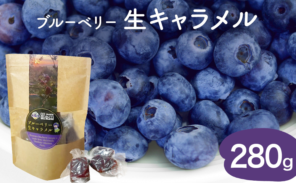 ブルーベリー 生キャラメル 280g 無添加 摘みたて 自然栽培