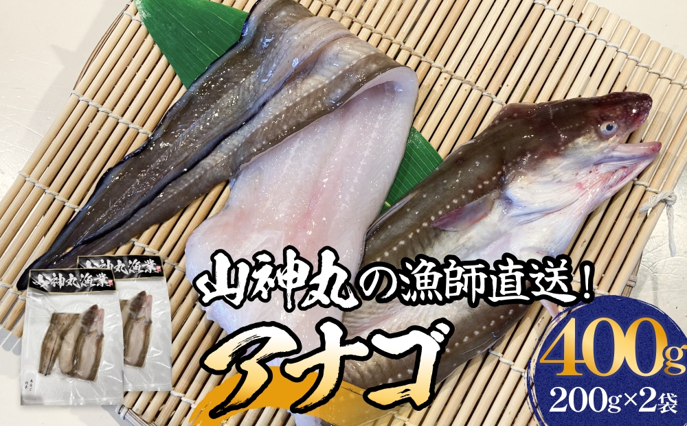 アナゴ 2パック 穴子 あなご 魚介 魚介類 海鮮 下処理済 直