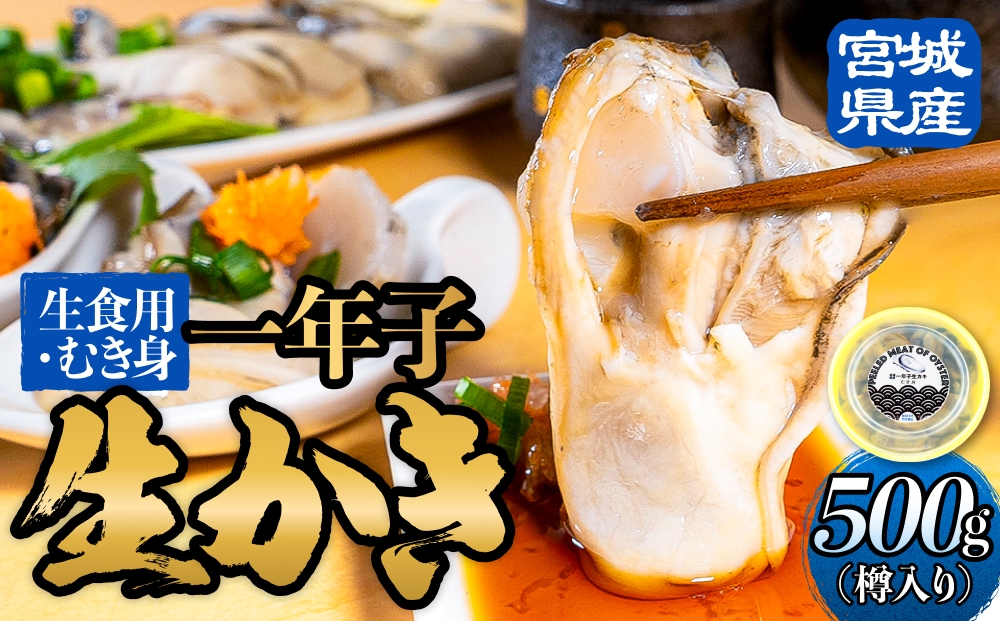 【宮城県産 生食用牡蠣】 一年子生カキ むき身 500g かき カ