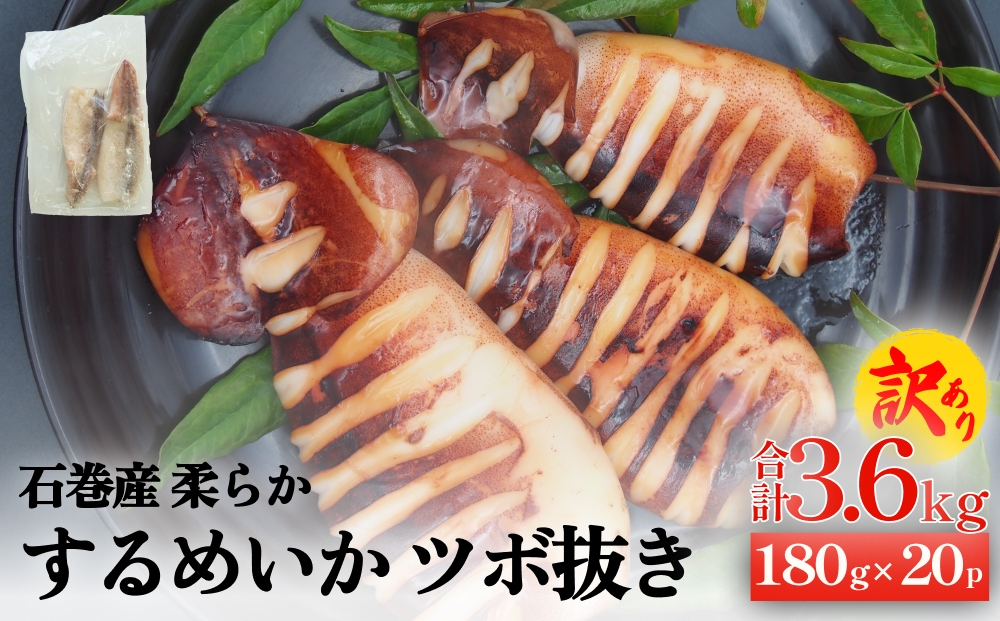 訳あり 石巻産 柔らか するめいか ツボ抜き 180g × 20P 防災減
