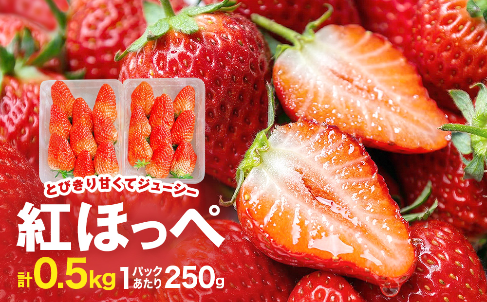 《数量限定》 ジューシー 紅ほっぺ 500g （250g × 2） 苺 いち