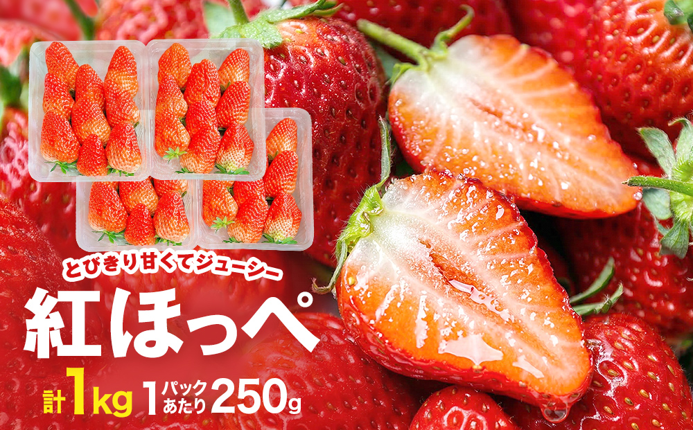 《数量限定》 ジューシー 紅ほっぺ 1kg （ 250g × 4） 苺 いち