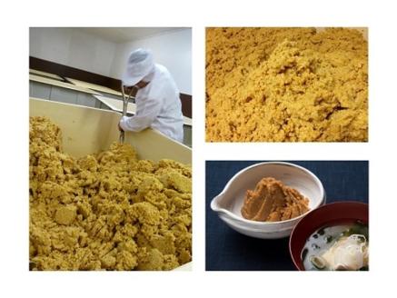 太田屋　イゲタヨ印上　3点セット　【04203-0754】