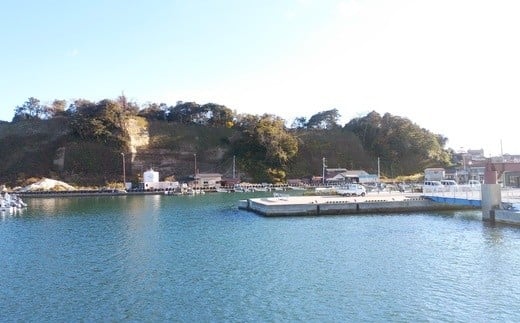 浦戸諸島・桂島　海の幸堪能宿泊プラン（ペア２名様）　【04203-0164】